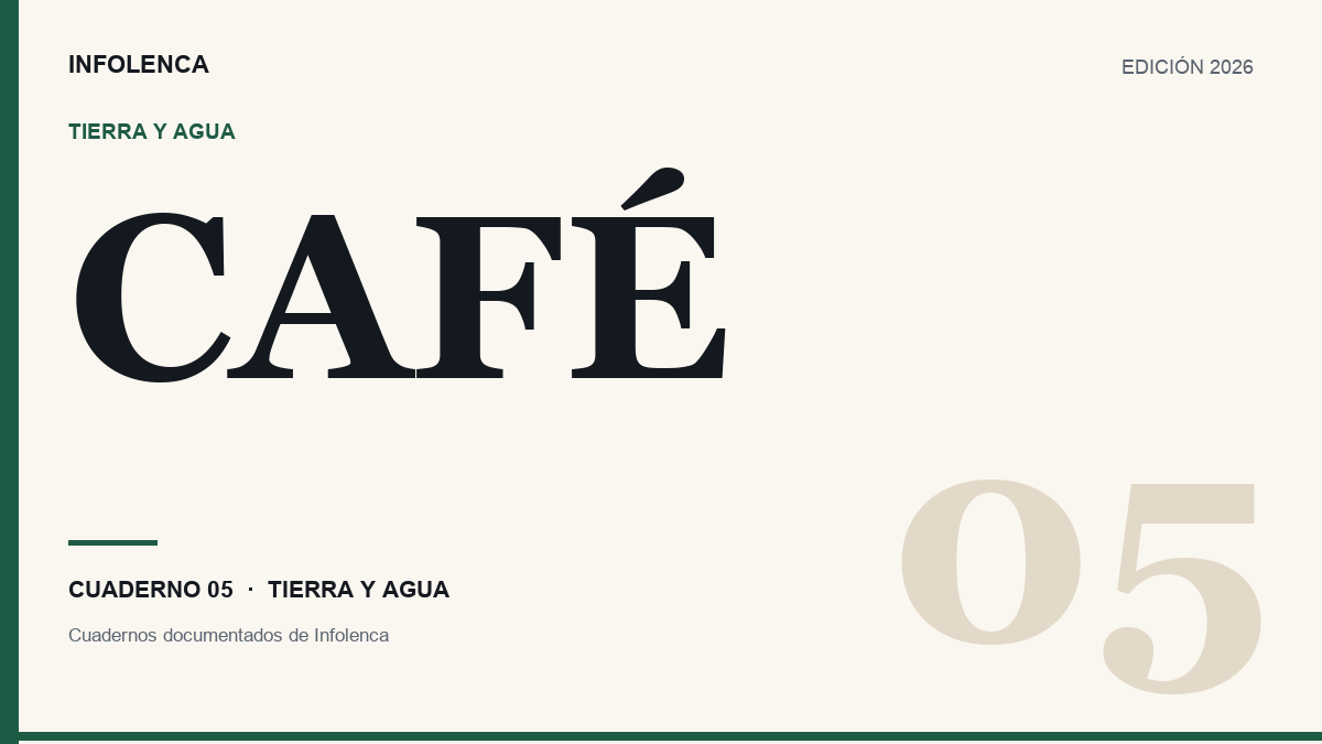 Ilustración editorial sobre el café de sombra y los cafetales salvadoreños