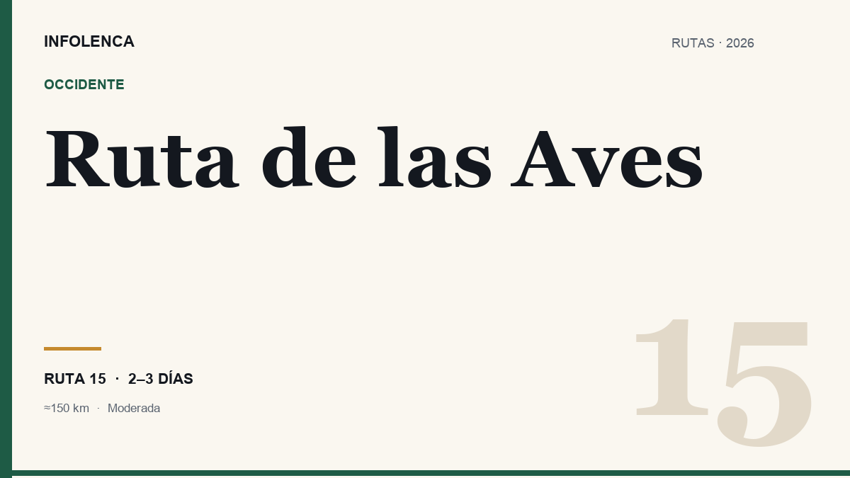 Ilustración de la Ruta de las Aves