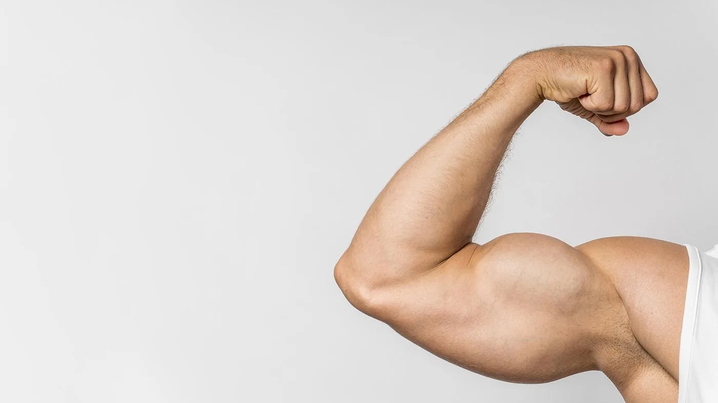 Desayunos ideales para aumentar masa muscular: consejos de expertos