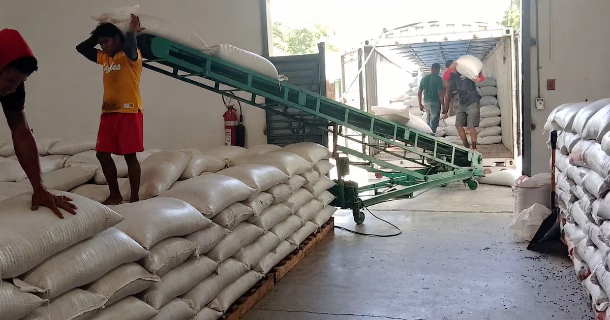Almacenamiento de maíz y frijol en instalaciones del IHMA